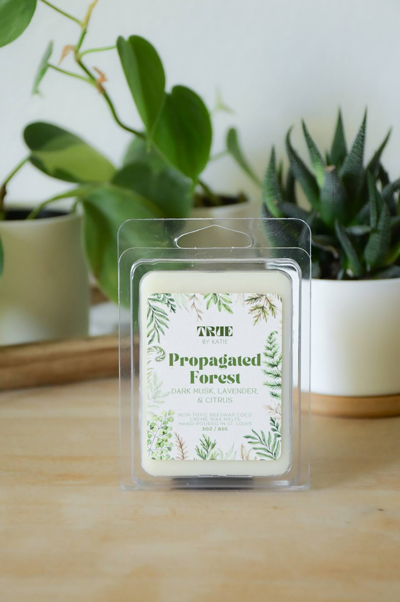 Propagated Forest Wax Melts